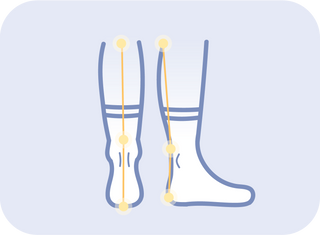 Showing how Apolla Socks employ the Kinetic Chain Link Principle ensuring joint alignment from the ankle to the spine