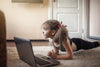 Keeping Students Engaged Online Dance Classes